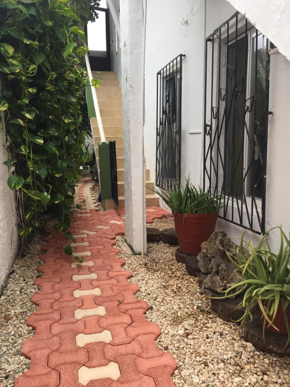 Violeta'S House Lejlighed Cancún Eksteriør billede